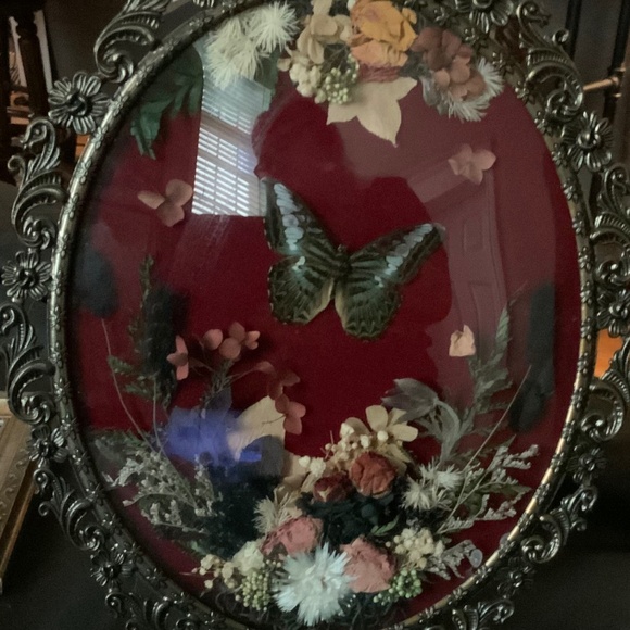 Custom handmade real framed butterfly - Picture 3 of 3